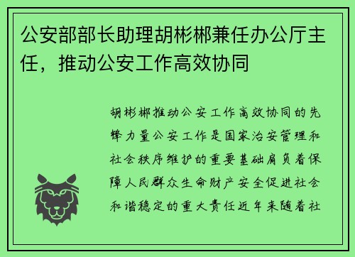 公安部部长助理胡彬郴兼任办公厅主任，推动公安工作高效协同