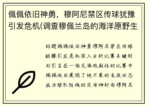 佩佩依旧神勇，穆阿尼禁区传球犹豫引发危机(调查穆佩兰岛的海洋原野生态)